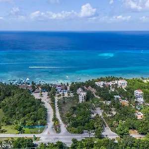 https://maia-suites-cozumel.allrivieramayahotels.com
